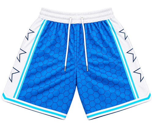 Blue & White Basketball Shorts