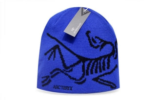 arcteryx skully