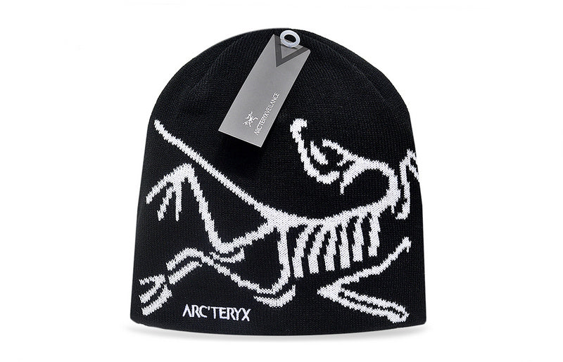 arcteryx skully